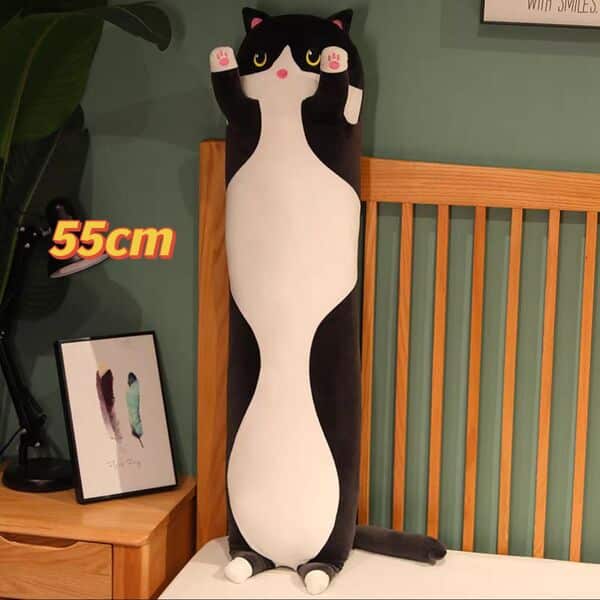 Gato negro