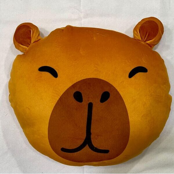 ALMOHADA CAPIBARA 45X40 APROX