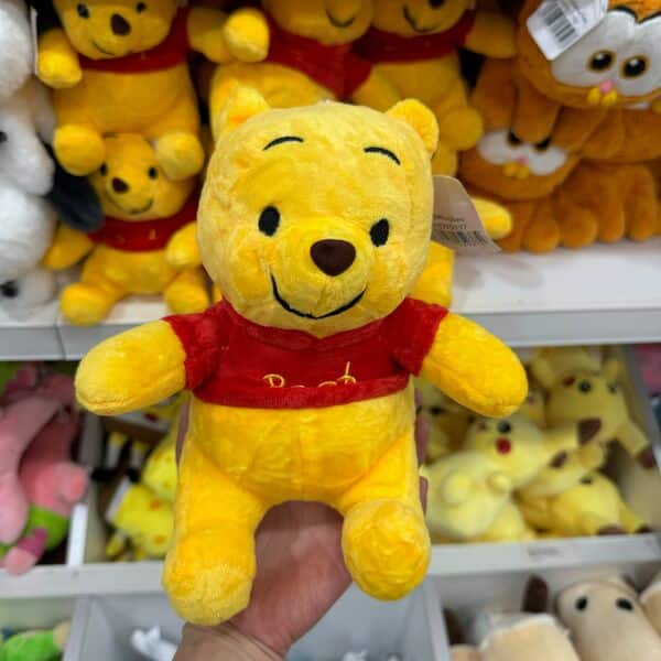 Winnie pool