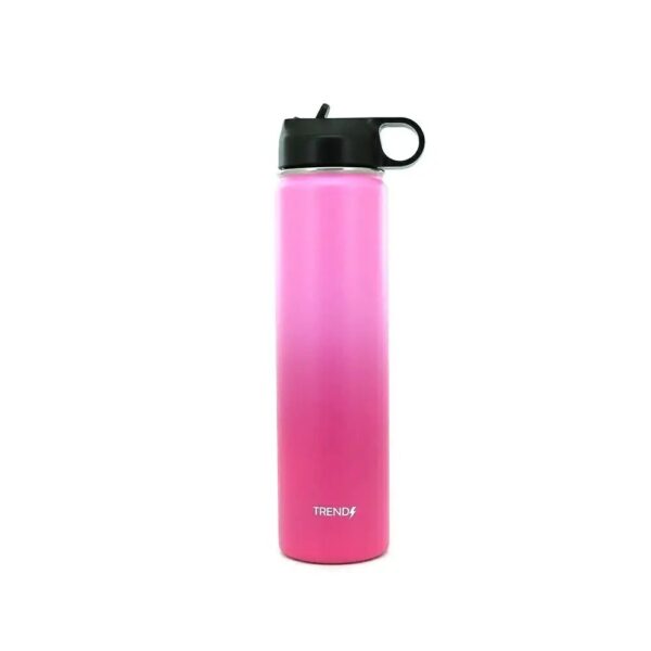 Botella T?rmica TRENDY 800ml