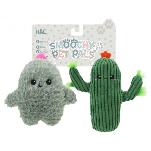 Cactus 20 cm  (Mascotas)