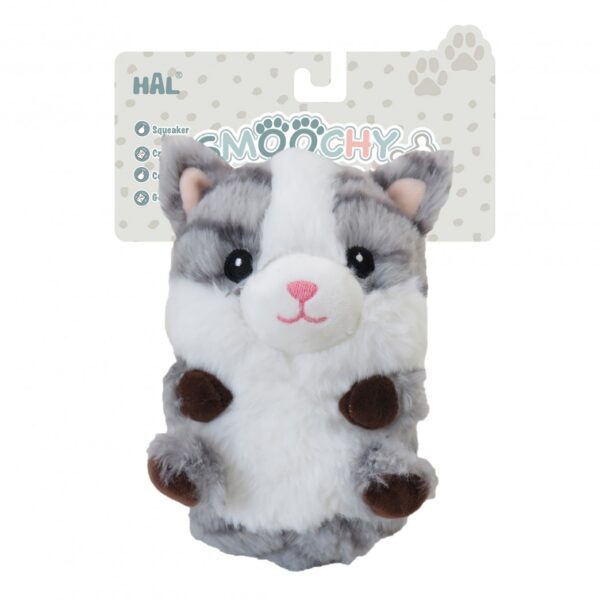 Gato7"