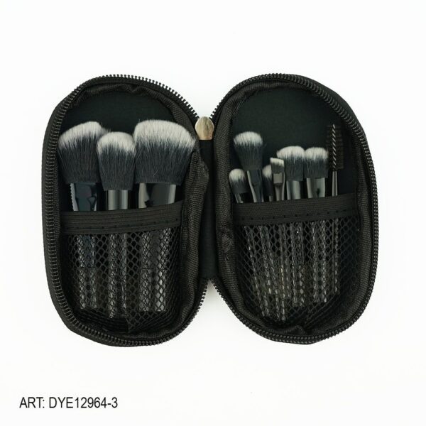 SET BROCHAS MINI X8PCS CON ESTUCHE DYE12984-3