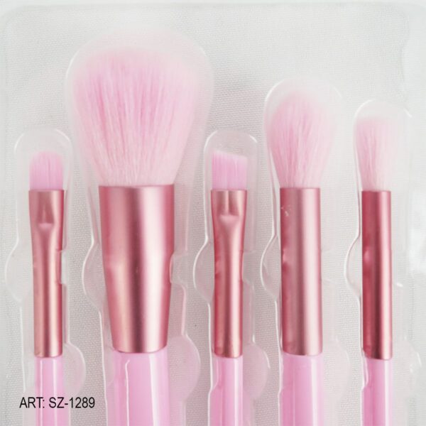 SET DE BROCHA 5PCS SZ-1289