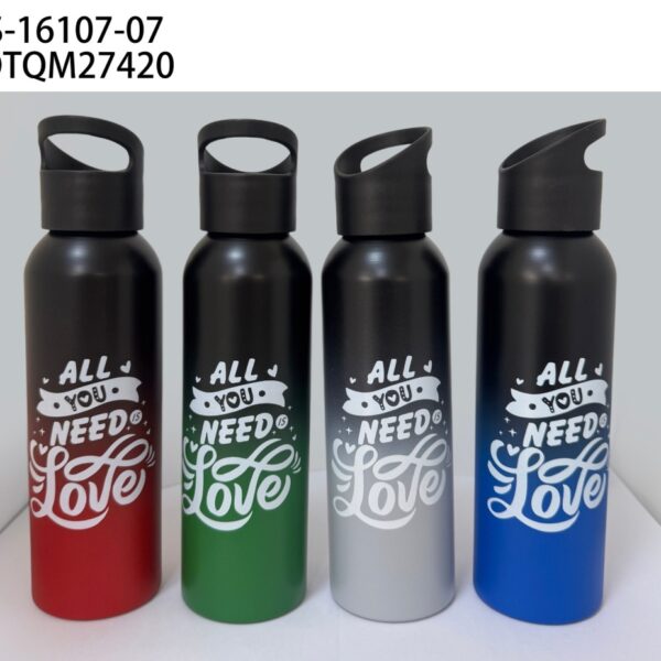 BOTELLA ALUMINIO 600ML LS-16107-07-60
